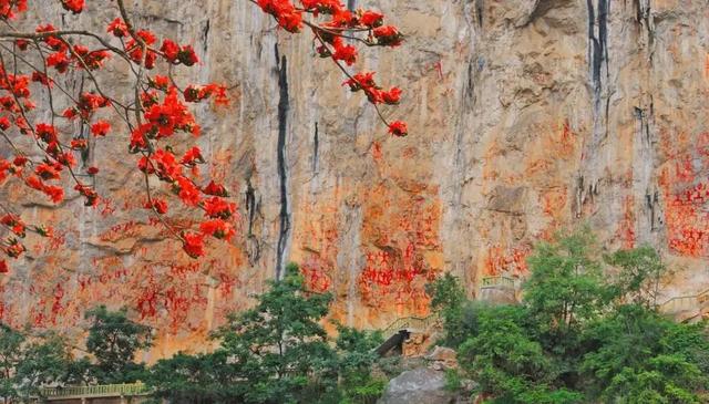 无限暖意!广西发布6条“康养旅居 冬游广西”系列精品线路