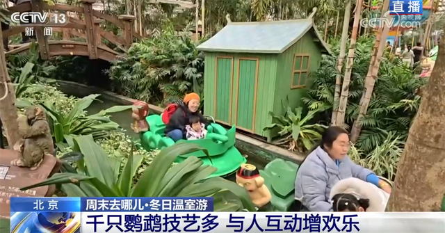 室内游升温、研学游正当时 文旅“热”让“冬日经济”多点开花、活力迸发