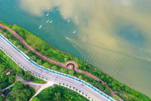 跑半马，游增城！这些线路带你畅游增城→