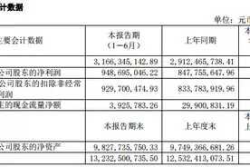 口子窖2024年上半年业绩增长，高档白酒销售收入增加图片
