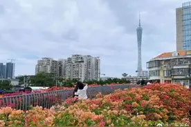 冷空气明晚到，广东将降温3～5℃图片
