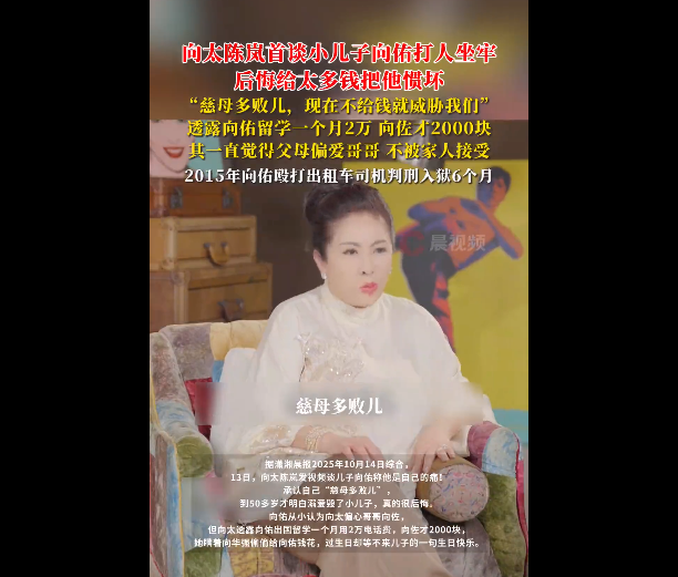 向太谈小儿子向佑打人坐牢