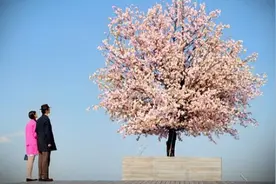 纯爱战士们，努力提升情绪价值吧！图片