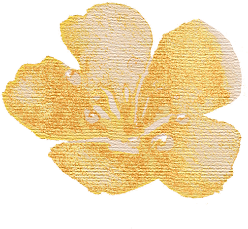 我们的节日·七夕—— 赴一场穿越盛唐的浪漫之约