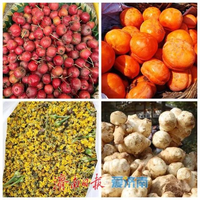 垛庄，乐驰骋：一路欢歌的“乡味乡情”