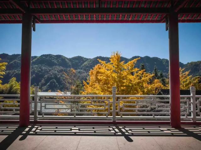 车行云海间，桂林这个地方超适合自驾漫游！