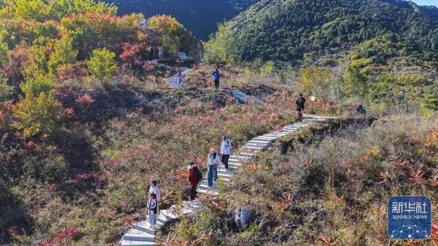 秋声渐杳 斑斓成诗