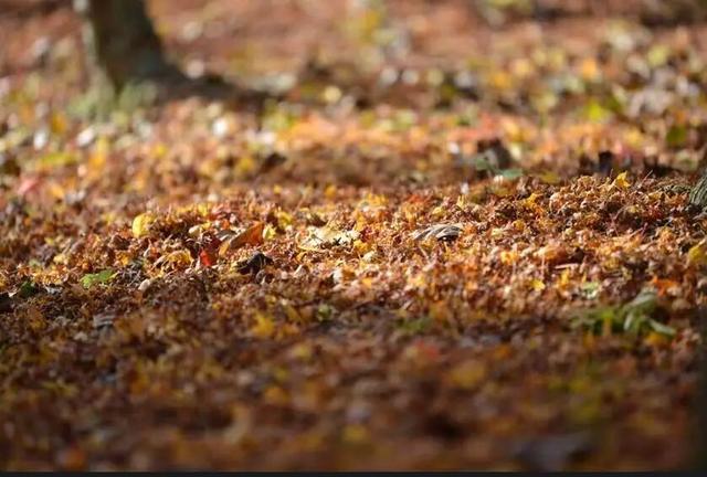 Hi走奉化① | 来栖霞坑，奔赴一场唐诗之路的千年约会吧！