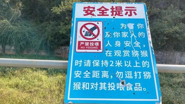 垃圾遍地、道路崩塌、小孩被抓……柳州这座“网红”废弃猴山，打卡该停了！