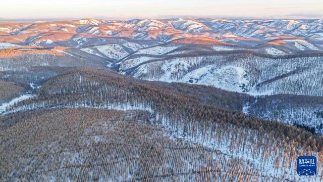 冬日塞罕坝 风景美如画