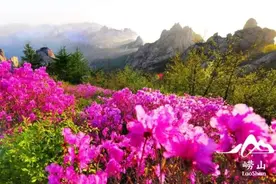 献礼海军节，崂山风景区对这些人免门票！图片