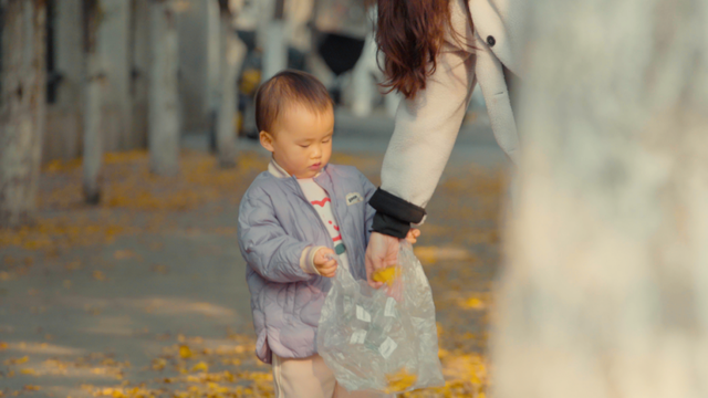 落叶缓扫！在什邡邂逅初冬的“杏”好时光