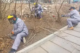 朝阳公园开展节前“净化、绿化、美化、序化”专项整治行动图片