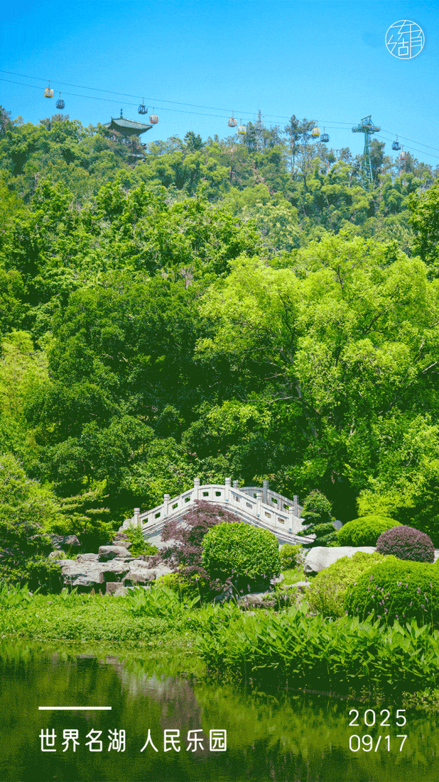 30+东湖夏日绝美壁纸，治愈一整年！