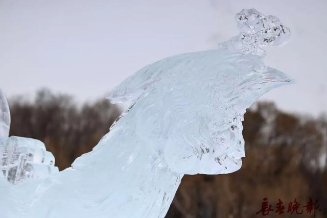 【推荐】南湖公园的冰龙又来啦，今年，还多了冰凤凰