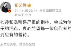 《好东西》导演邵艺辉回应抄袭风波：无妄之灾图片