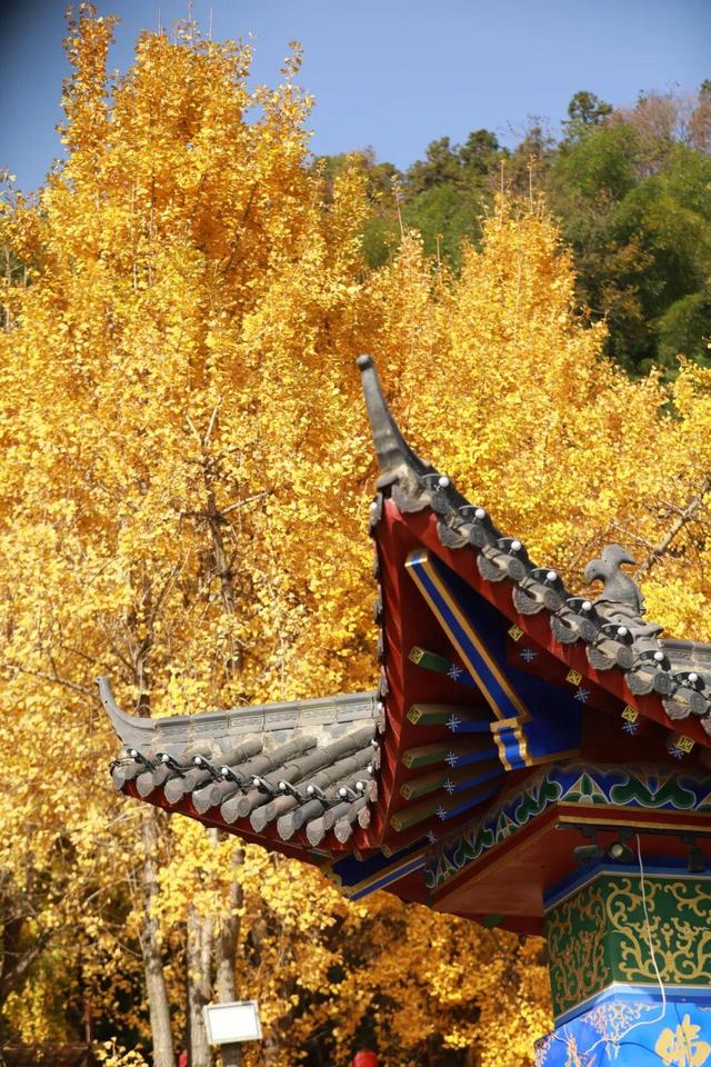 娄底：藏不住的诗意冬景，每帧都美到“心巴”上～