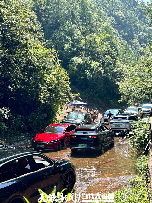 踩水飙车！来习水飞鸽“水上公路”解锁清凉的隐藏玩法