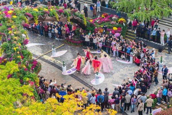 刷屏1个月正式闭幕，武汉金秋菊展留下这些名场面