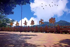 南安市码头镇：党建引领 “乡贤+”和声 谱写乡村和美乐章图片