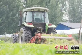 河南杞县：深耕细作助农增收图片
