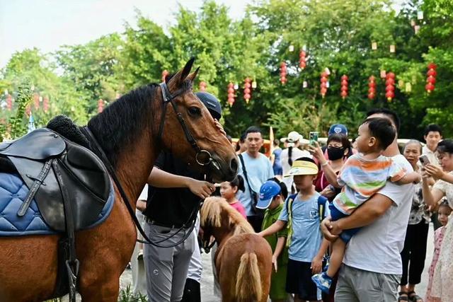 双节同庆 乐享三水丨人山人海，全线火爆！三水双节文旅“热”力全开！
