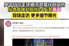 男子因投喂流浪猫要赔偿24万 案件即将迎来再审图片
