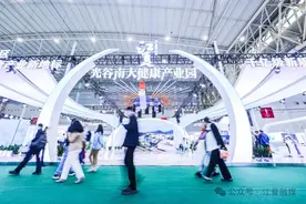 江夏27家企业组团亮相世界级盛会图片