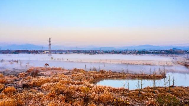 看！西险大塘的“蝶变四重奏”