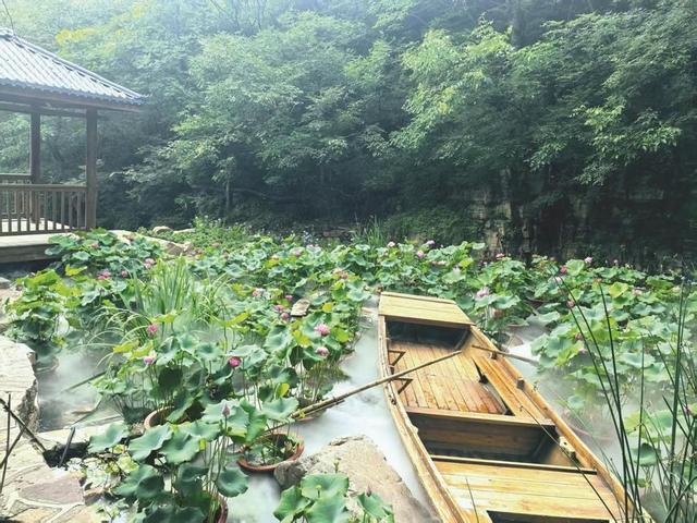 美在邯郸丨荷花之恋·遇见京娘湖——大型沉浸式实景演出邀您共赴清凉之约