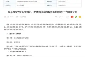 山东海阳辛安核电项目拟建2台机组图片