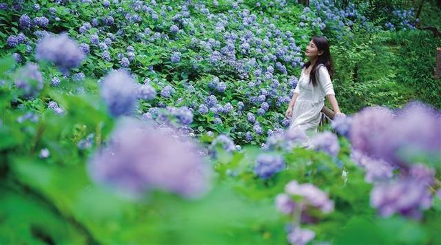 神秘湘西 玩法由你