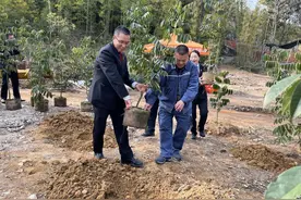 为广东添绿增彩，从化陈禾洞省级自然保护区管理处开展春季义务植树活动图片