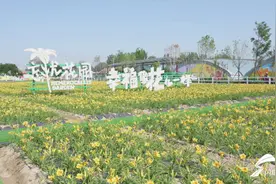 临邑：开发特色、深度乡村旅游产品 激发文旅新活力图片
