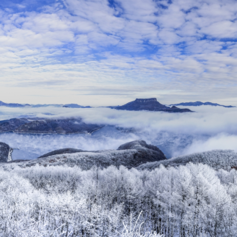 雪山、雾凇、云海......我就这样被辽冬轻松“拿捏”