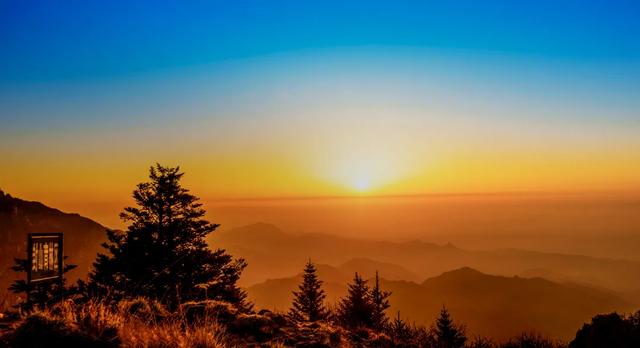 不上班，就上山！