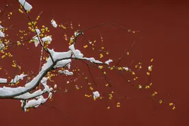 思想者｜李贵：“唐音”之外又创“宋调”，宋诗体现出哪五大魅力？图片