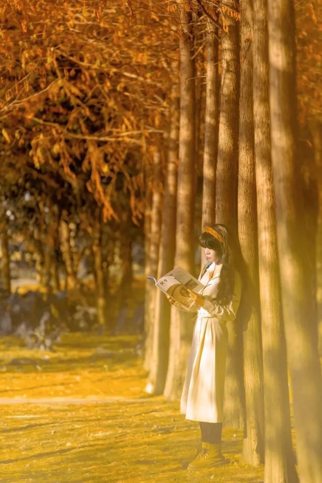 福州秋日限定浪漫已送达，附打卡点位→