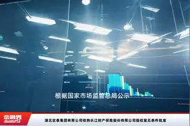 湖北宏泰集团有限公司收购长江财产保险股份有限公司股权案无条件批准视频封面