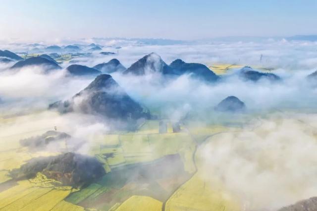 世界最大的自然天成花园｜曲靖罗平早春限定画卷