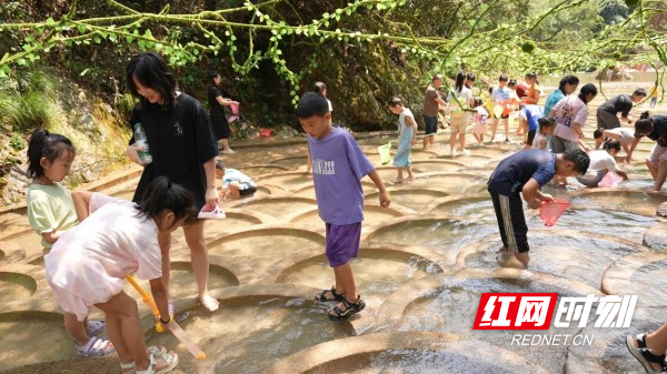 娄底避暑好去处丨从云端到绿野 三联峒暑期旅游热度持续攀升