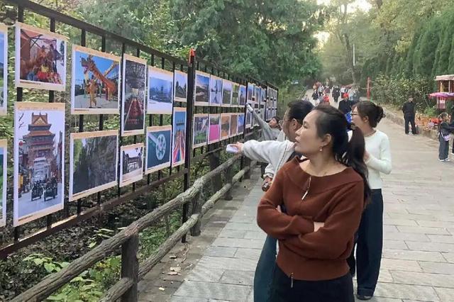 赵立坚微博打call日照银杏古树！附高清大图+进阶玩法！