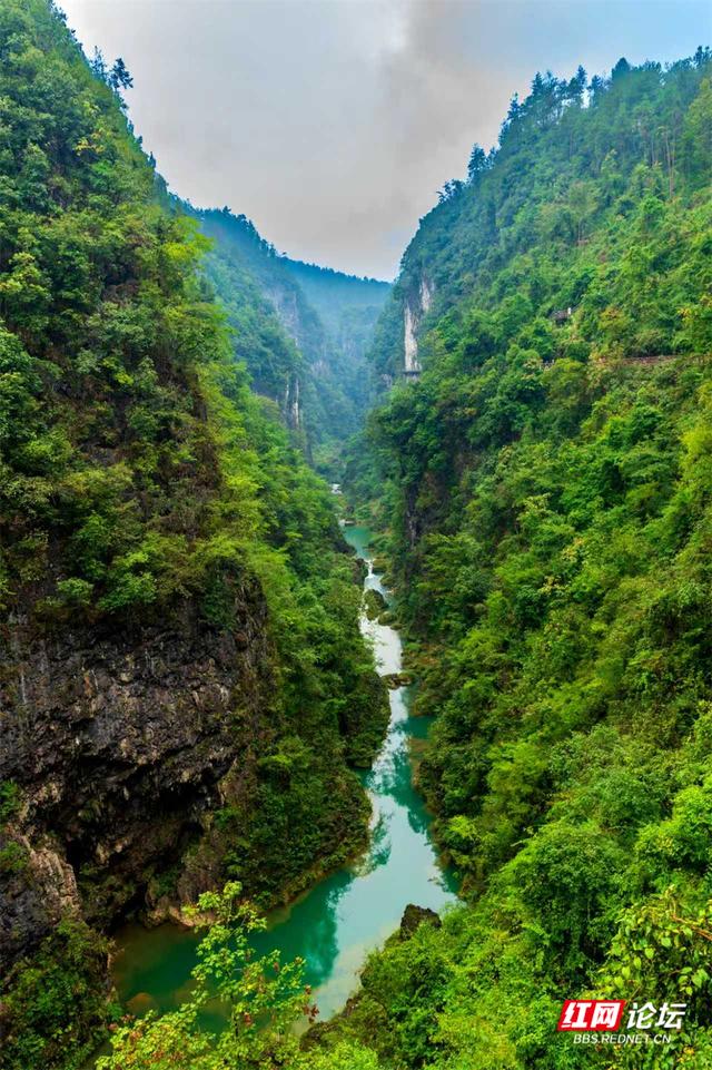 【每日一图@湖南】在古苗河百瀑大峡谷，山水滤尽了冬日的锋芒