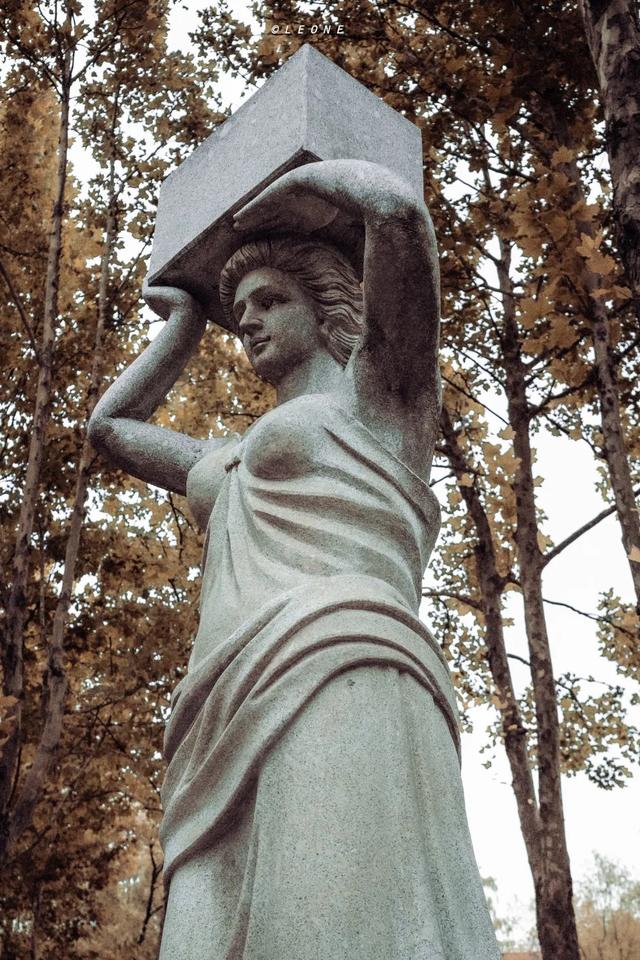 顶级美学!西安这4个园林,美到失语!