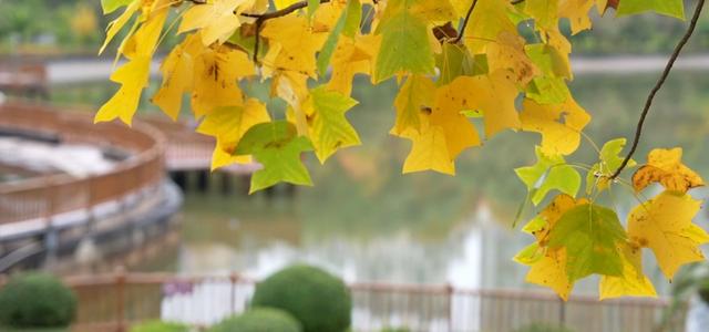 盘州东湖：绚烂的秋景