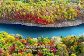 投资中国之长春：五城优势聚春城，百草精华汇吉林图片