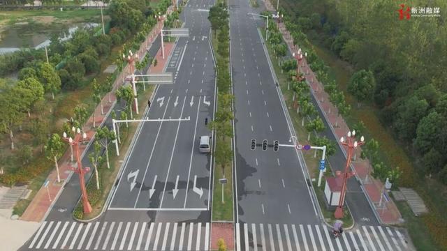 新洲：“景”上添花，勾勒生态新城