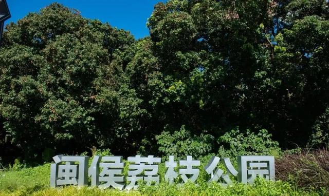 央视知名导演邹友开作词！闽侯这座运动之城了不起！