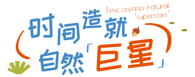 东湖「巨物」图鉴，打卡XXXXL号视觉震撼！