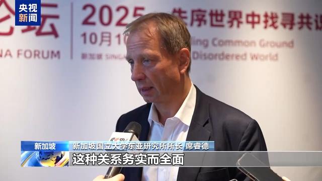 第七届新中论坛在新加坡举办
